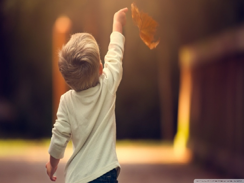 进口新试管钳张帆试管成功了吗南京试管助孕成功